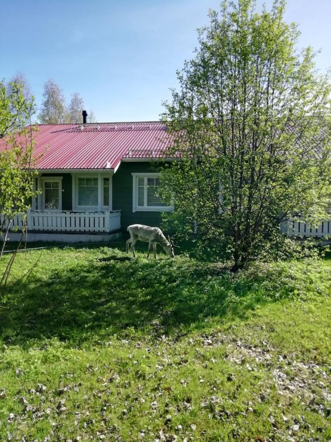 Ounasvaara Sport Cottages Rovaniemi Exterior foto